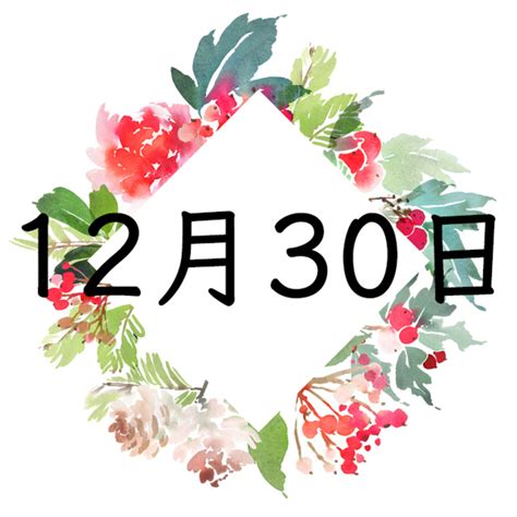 12月30日性格|12月30日生まれ